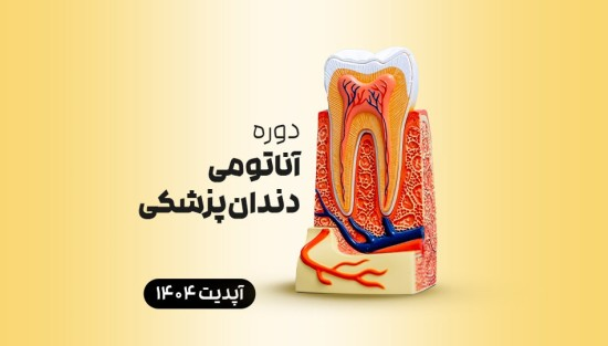 جامع آناتومی دندانپزشکی
